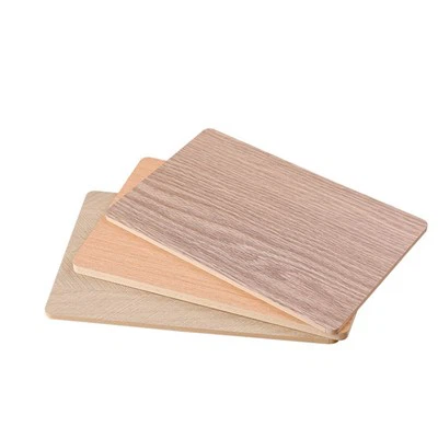 Plast invändig väggbeklädnad